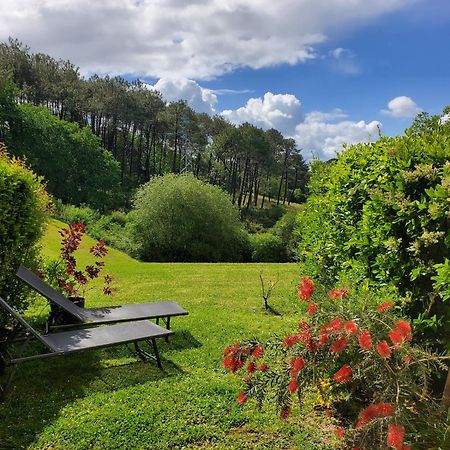 Appartement Calme Avec Jardin Bidart Biarritz Ngoại thất bức ảnh
